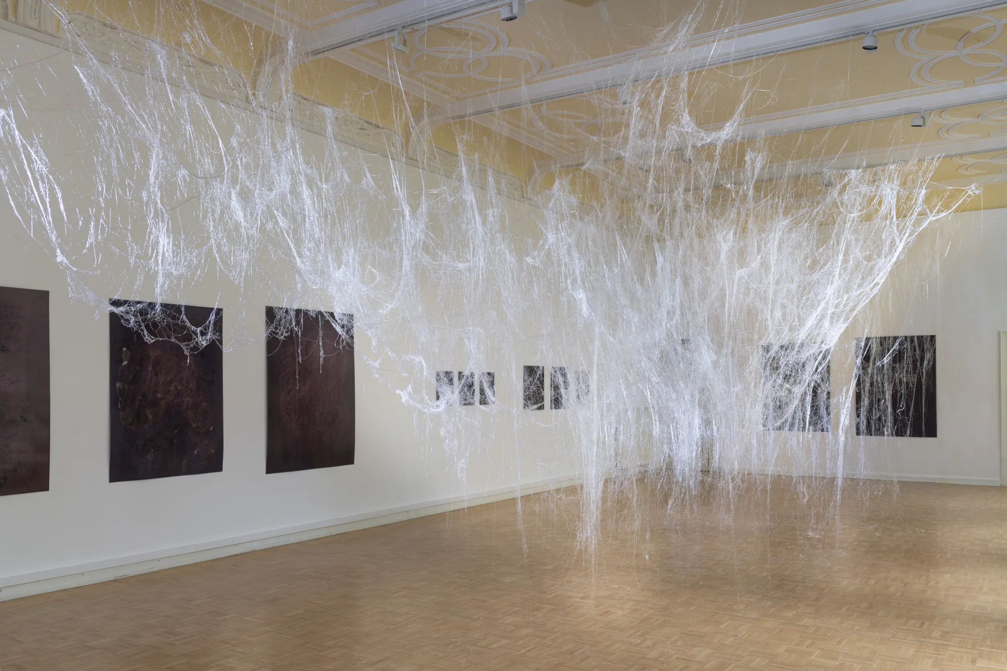 
              Installation, Katrin Trost              