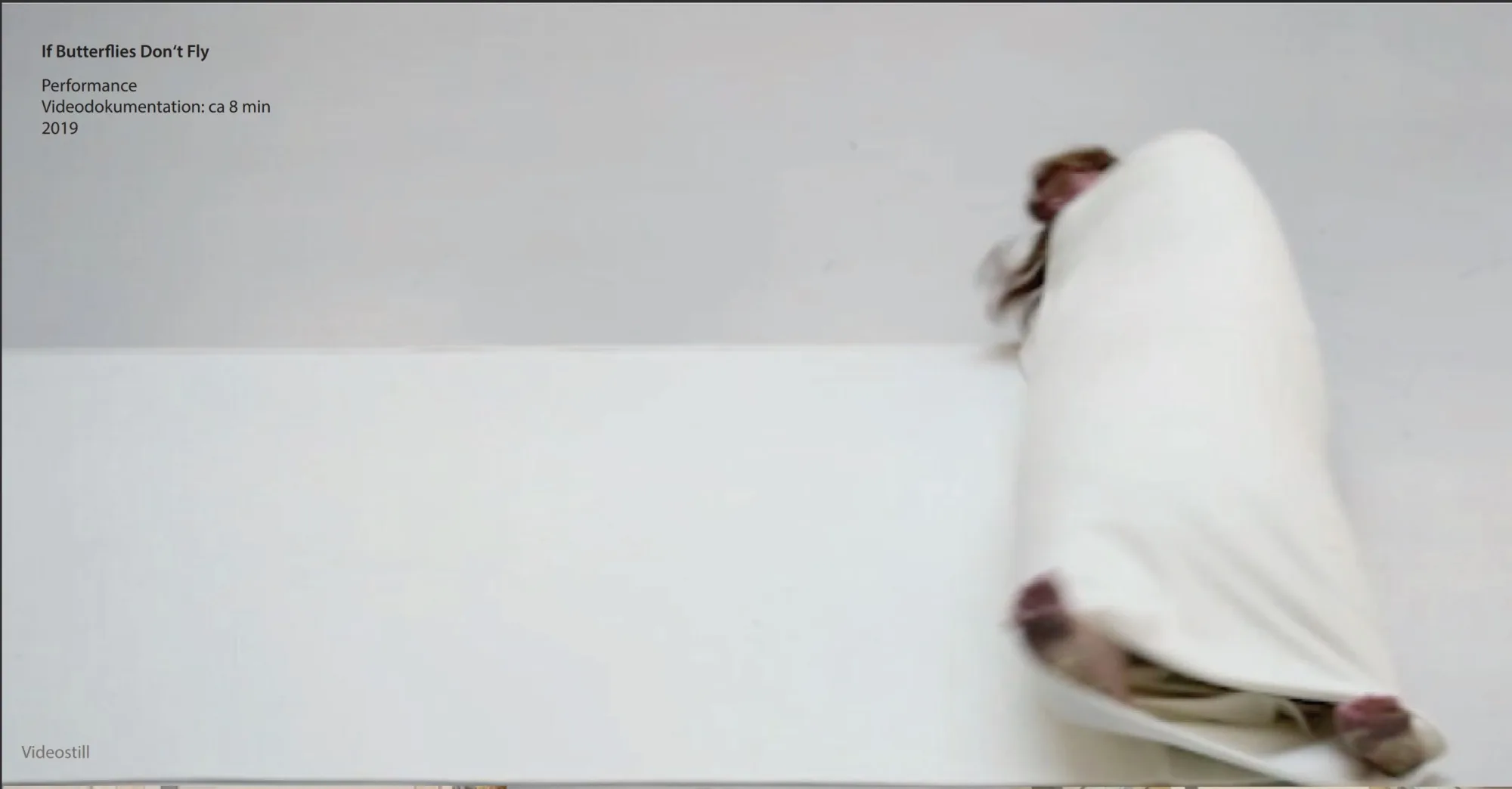 
              "If Butterflies don't fly", Videostill, 2019              