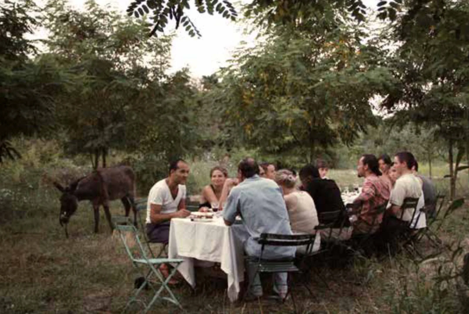 
              Douze Diners, 2011 © Meggie Schneider              