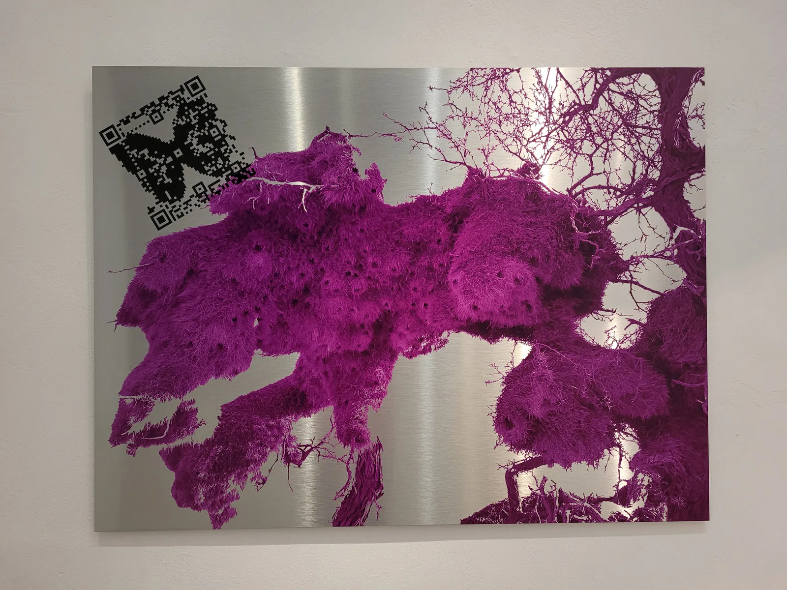 
              Audio Biospheres Magenta, 2017 © Sabine Schäfer              