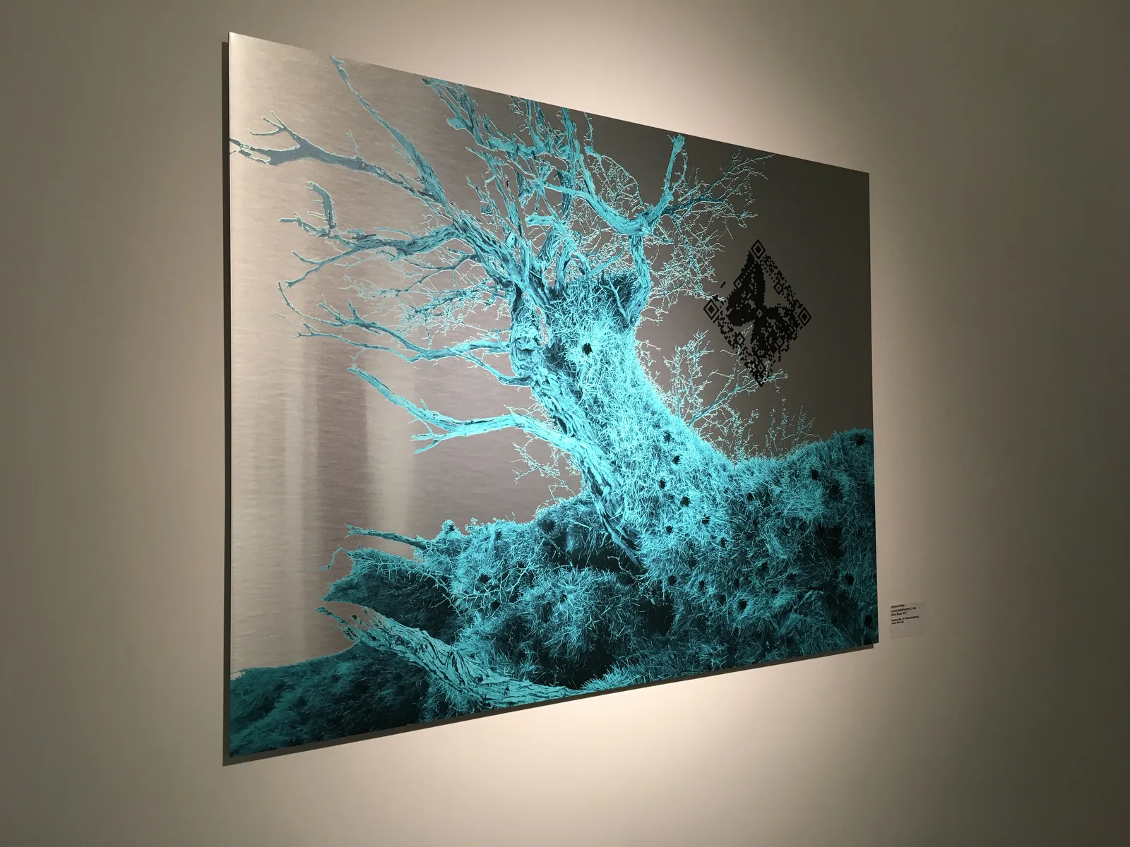 
              Audio Biospheres Cyan, 2017 © Sabine Schäfer - Foto: Sabine Schäfer              