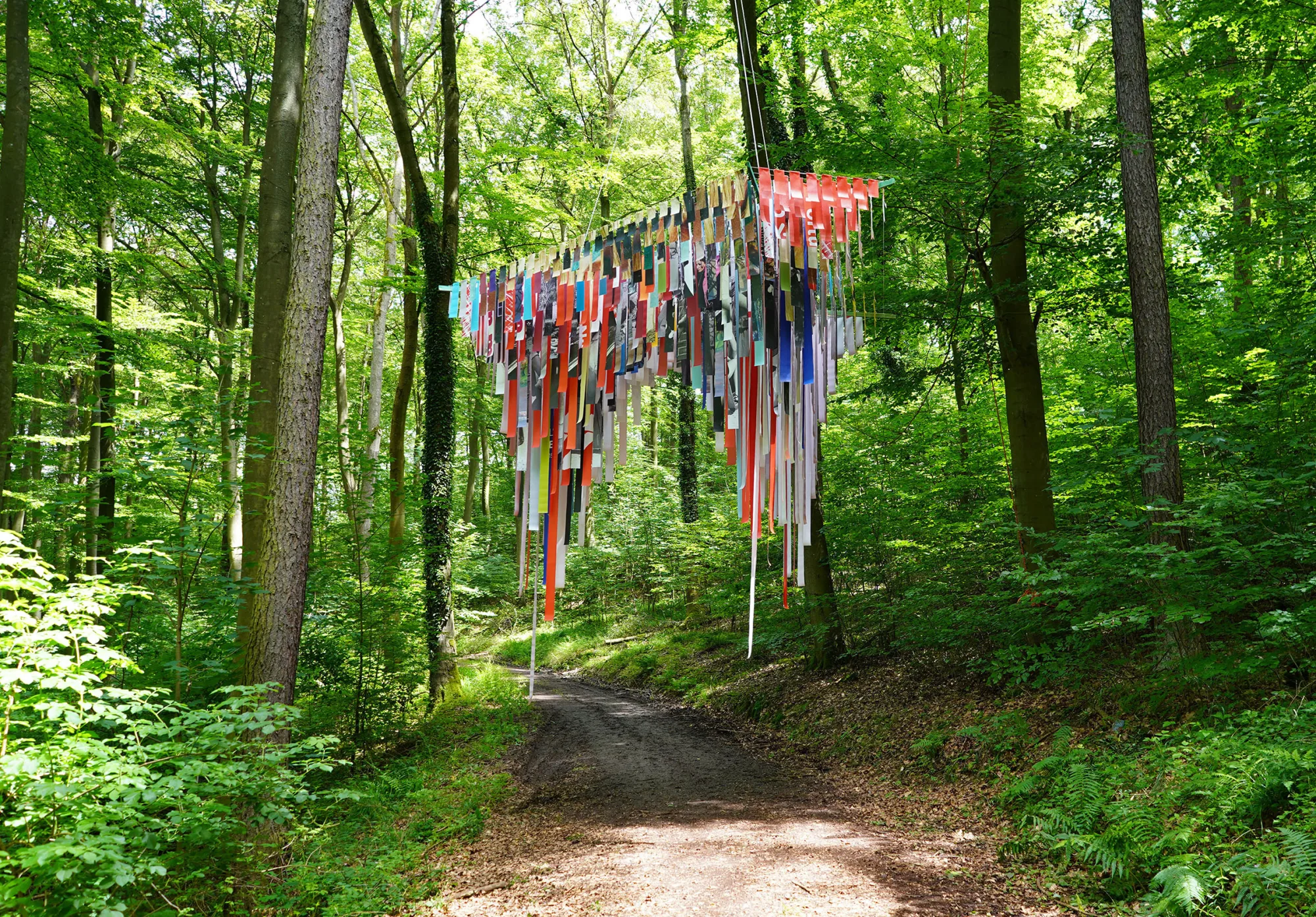 
              Sebastian Klug, Forestival              