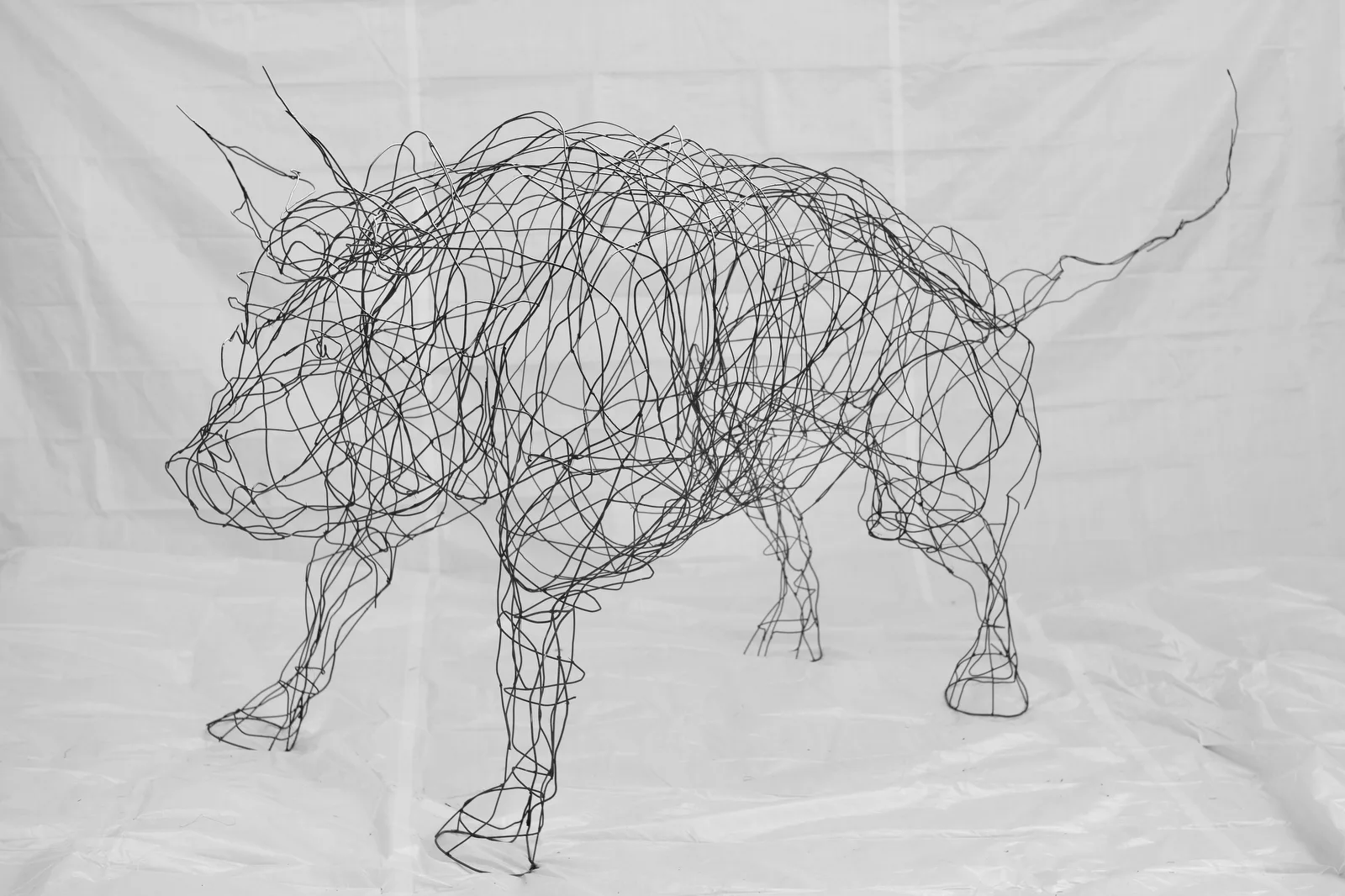 
                            Siegfried Kober, Wildschweinrotte und Stier              