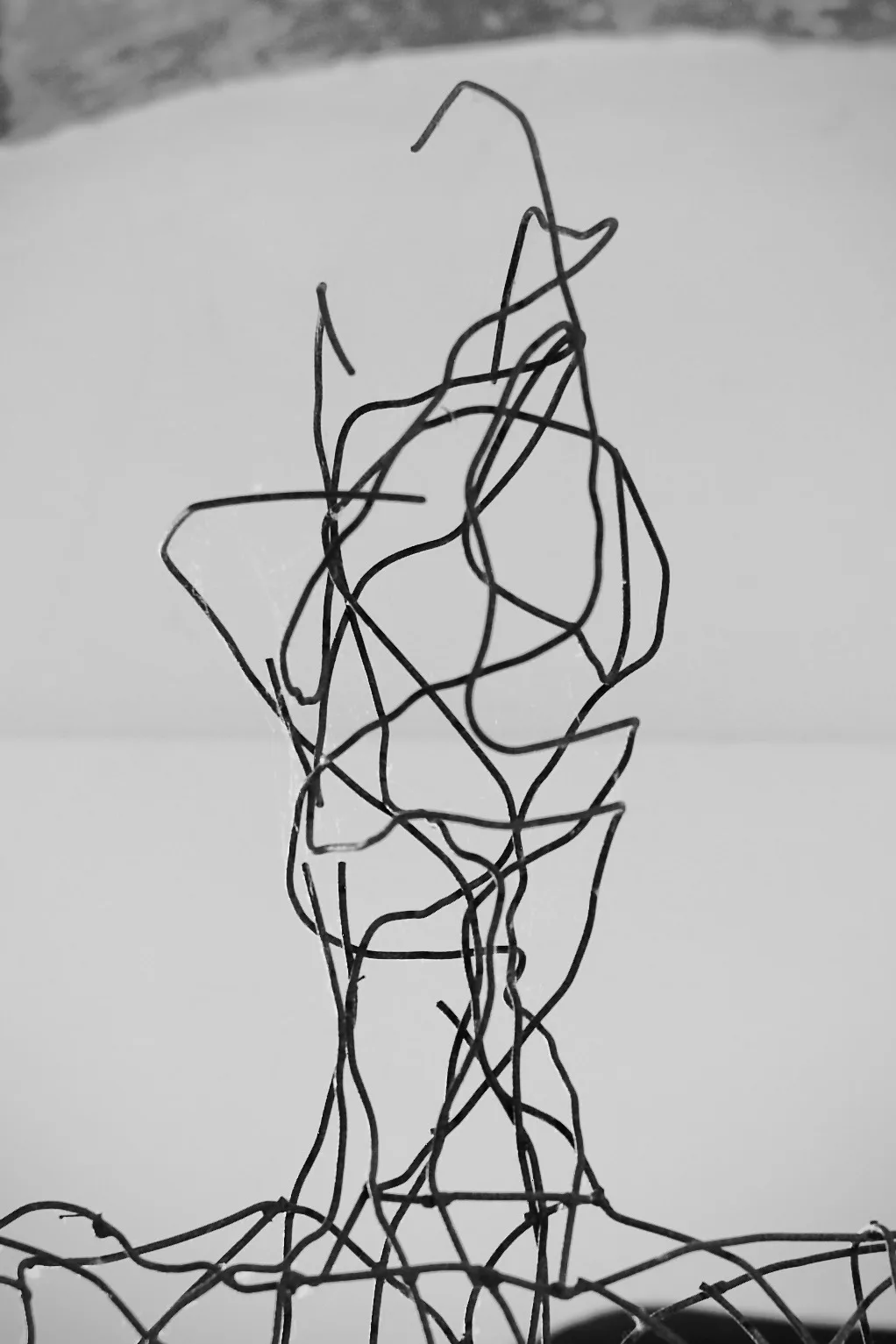 
              Kopfstudie, Siegfried Kober              